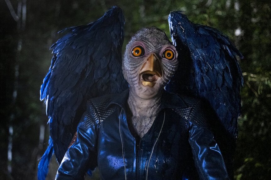 Heather (Edi Patterson) appears distressed in avian form in Resident Alien Episode 403.
